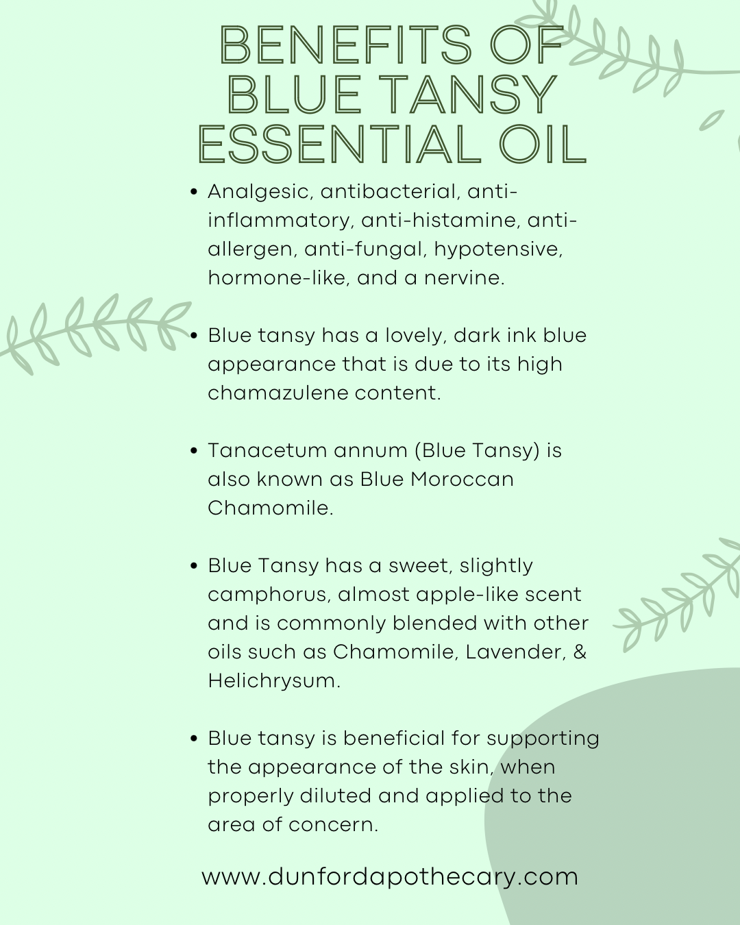 BLUE TANSY ESSENTIAL OIL, MOROCCO (5ML)